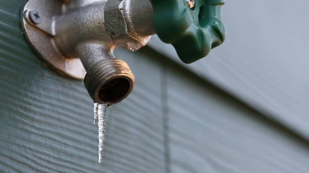 Best 24-Hour Plumber Near Me  in Buena Vista, CO