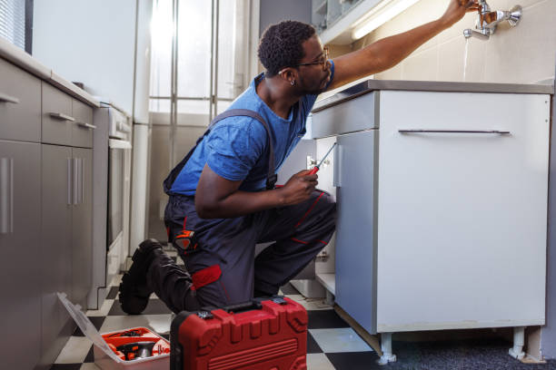Best Affordable Plumbing Services  in Buena Vista, CO