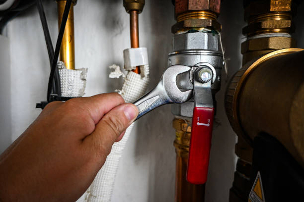 Best Residential Plumbing Services  in Buena Vista, CO